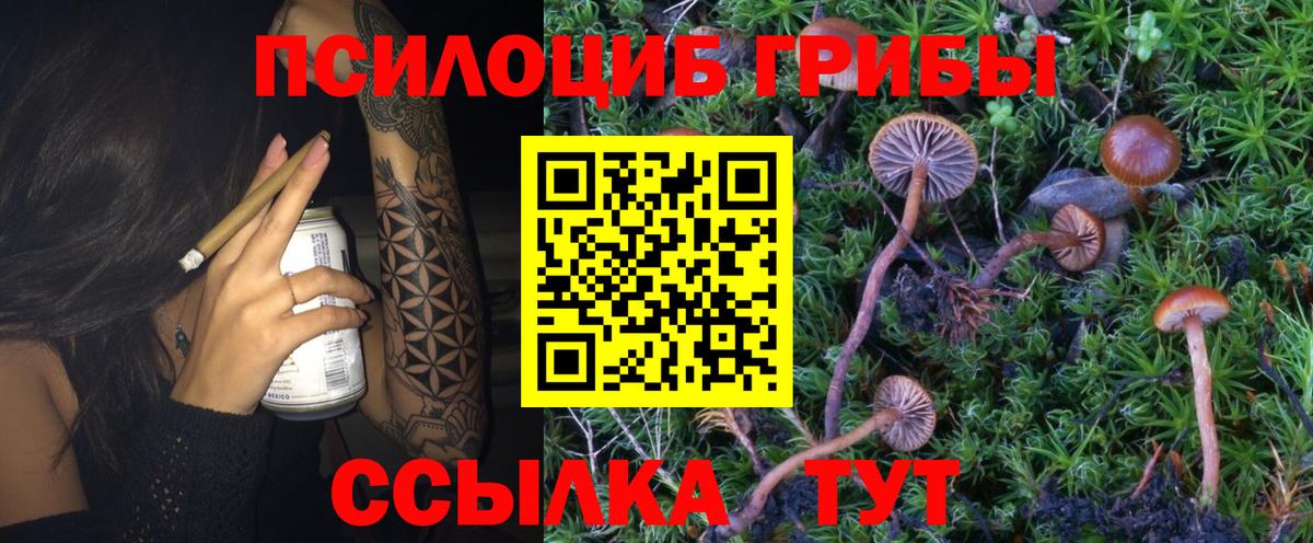 Ржев  магазин  наркотиков  Псилоцибиновые грибы ЛСД  Вход с VPN  Псилоцибиновые грибы GOLDEN TEACHER 